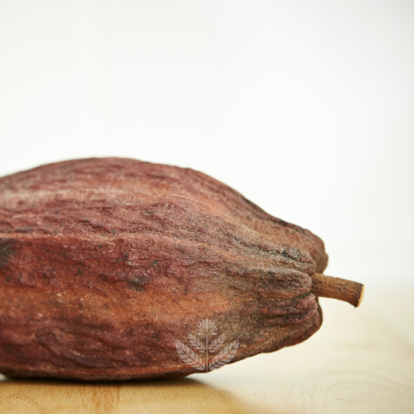 Dreamtime Ceremonial Cacao - Image 2